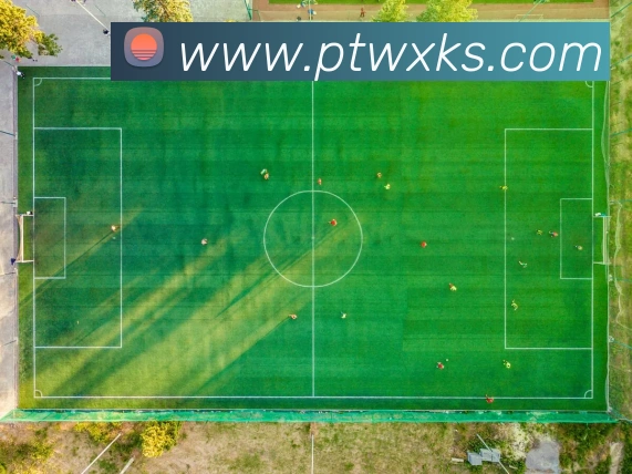 爱游戏官网首页APP 封面图